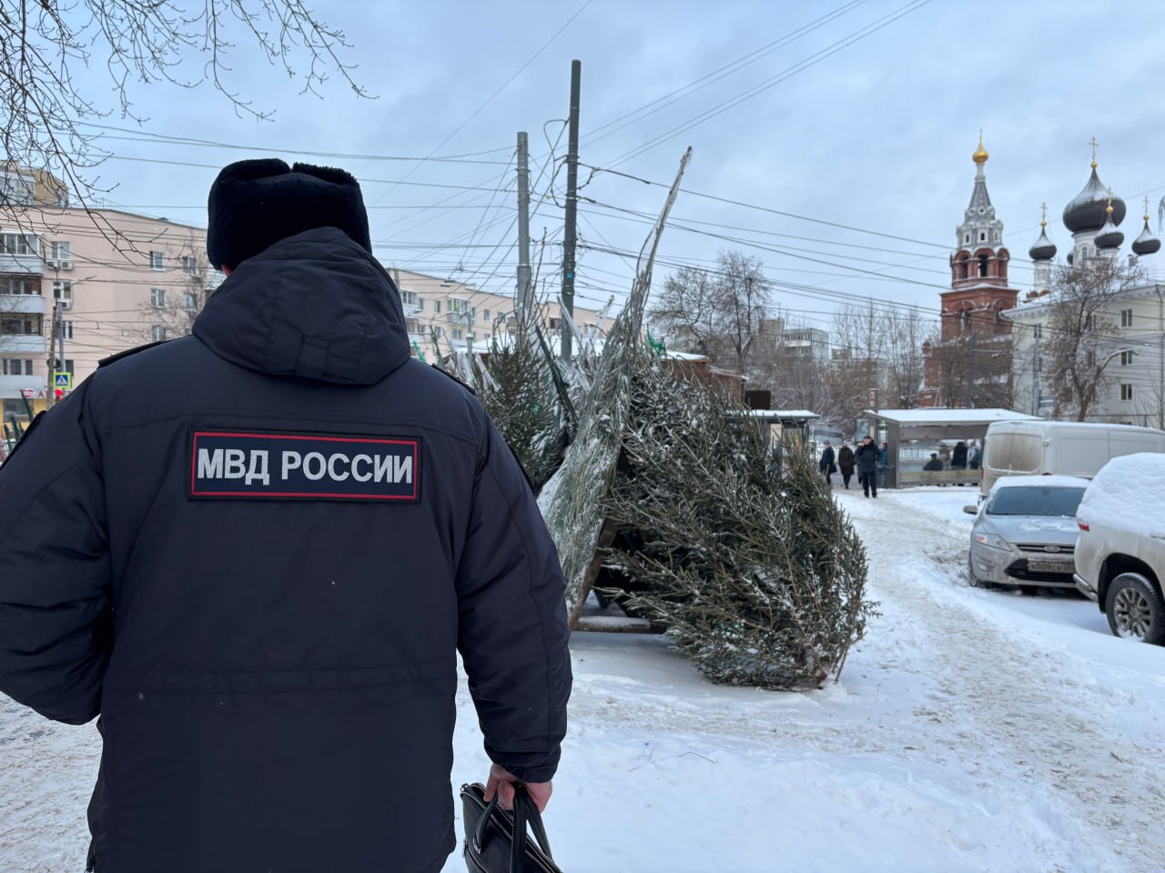В Нижнем Новгороде подведены итоги рейдов по выявлению фактов незаконной реализации хвойных деревьев и изделий из них