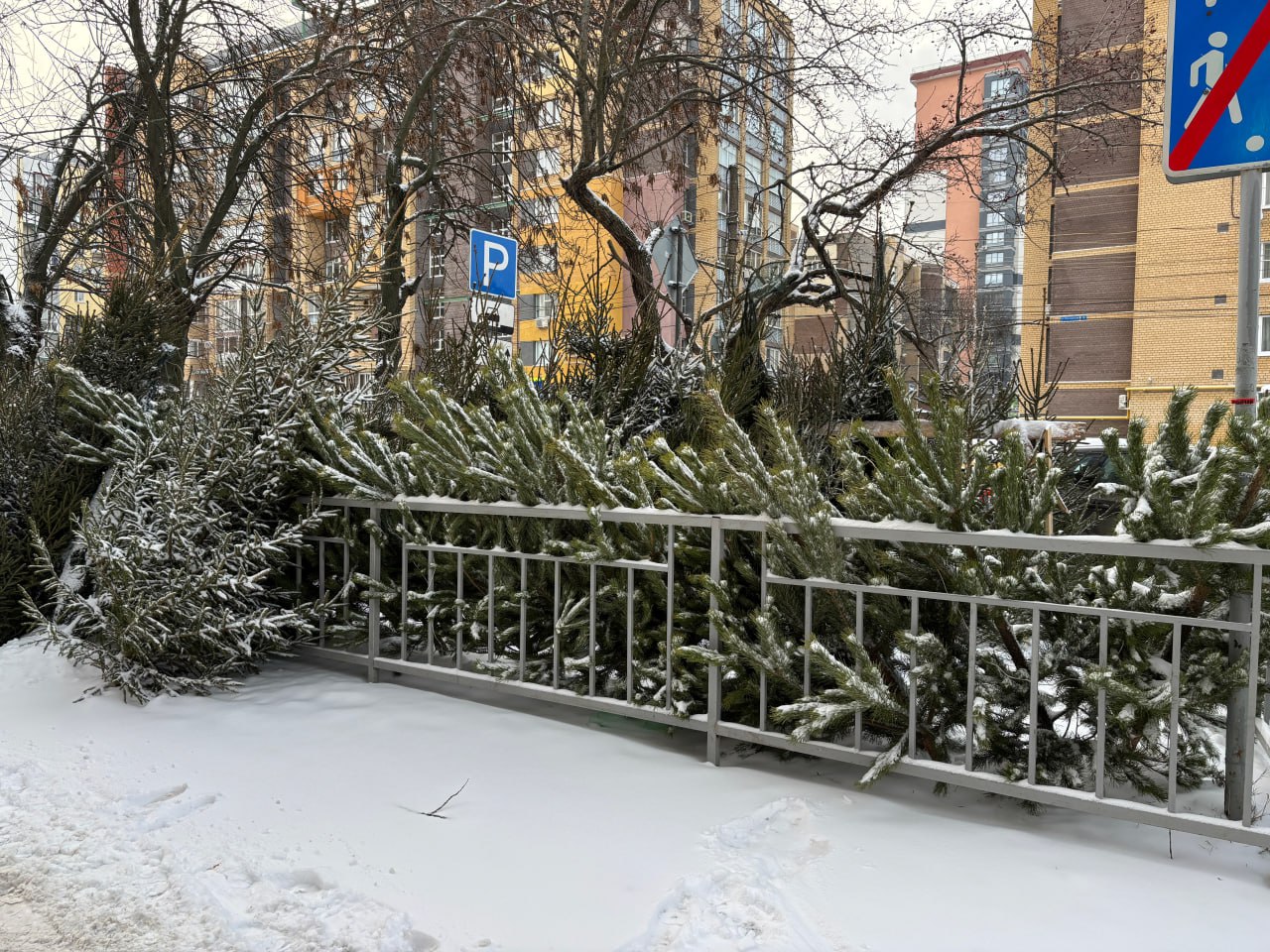 В Нижнем Новгороде подведены итоги рейдов по выявлению фактов незаконной реализации хвойных деревьев и изделий из них В Нижнем Новгороде подведены итоги рейдов по выявлению фактов незаконной реализации хвойных деревьев и изделий из них