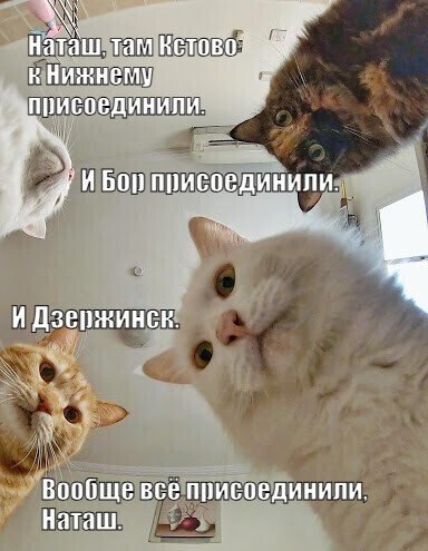 Присоединят ли к Нижнему вслед за Кстовом ещё и Бор? На этот вопрос ответил глава приволжской столицы Юрий Шалабаев