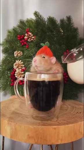 ������ � ����� ��������� � ��������� ������� ���� ����� ����