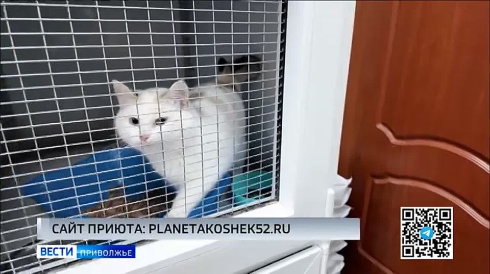 ��� �������� ������������������ ����� "������� �����" � ������ ���� �������� ����������� "���� �������"