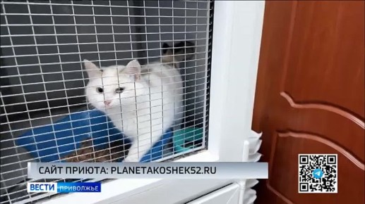 ��� �������� ������������������ ����� "������� �����" � ������ ���� �������� ����������� "���� �������"