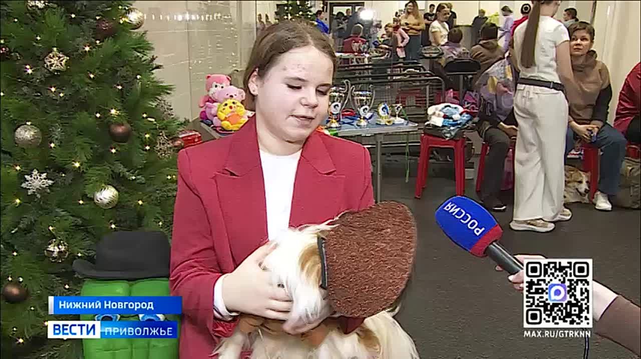 Соревнования и новогодняя выставка собак "Юный Хендлер" прошли в Нижнем Новгороде