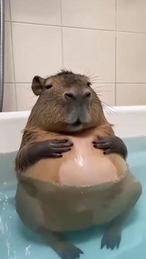 ��������� ������ ����� ���������� ���������! ������ ����, �����������!