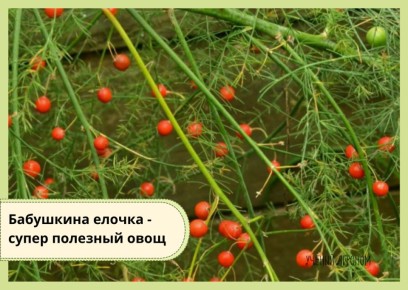 ����������� ������: �� ��������� �� ���������� � ����� ����