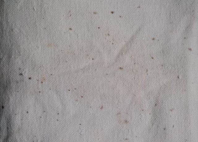 ��� ���������� �� ������� �� ������