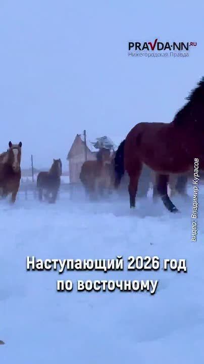 ��� ��� �������� ��� �������? ����������� � �������� ��������� ��������� ������������� ������� ������