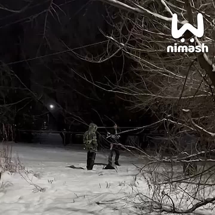 ��������� ������� � �������� �� ��������� � �������, � ����� � �������� ��� ���