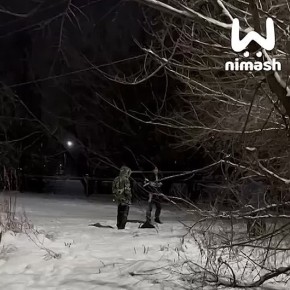 ��������� ������� � �������� �� ��������� � �������, � ����� � �������� ��� ���