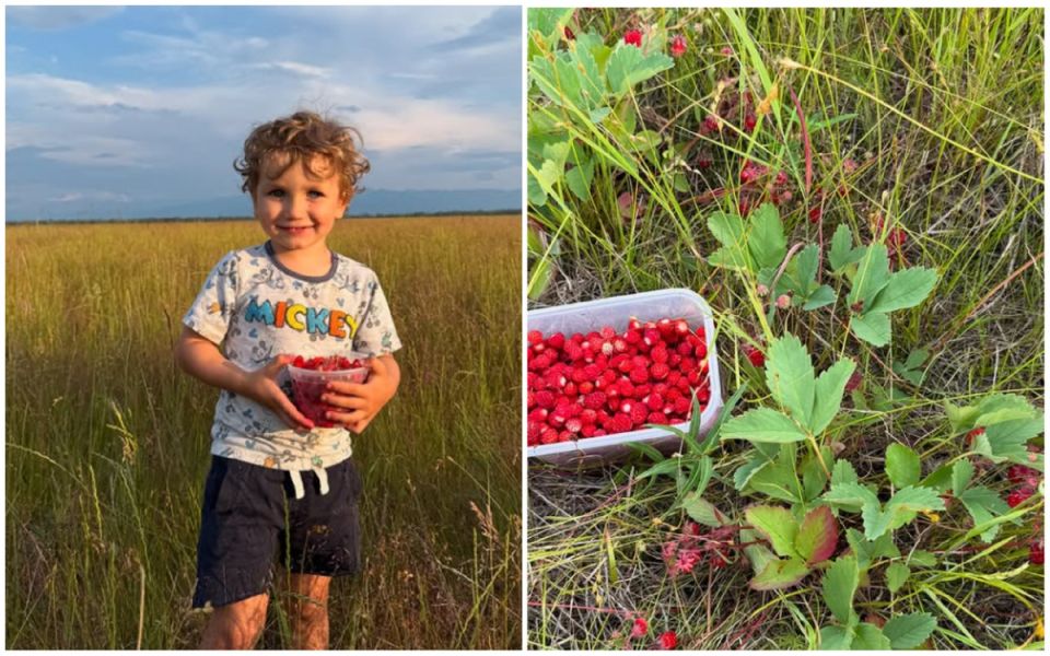 ������: ������� ������� � ����������� ������������ ����� �� ���� ����