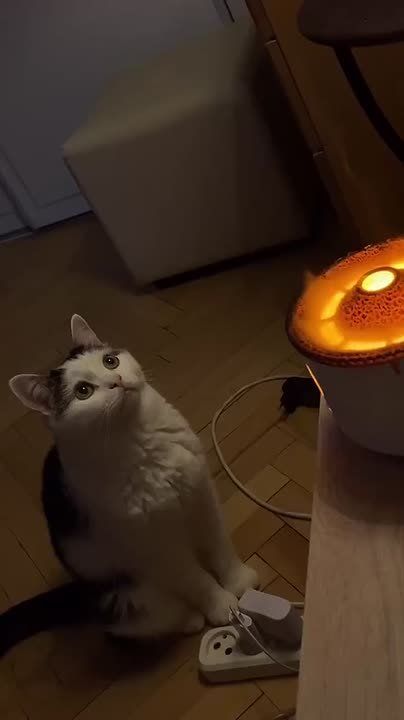 ������� ������ � ������ � ������� �����