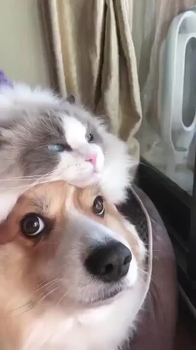 ������ ���������� ����!. ����� ����� �� �������? �� ������ ��������? �������� ������� ������� ������� �������: VK | MAX