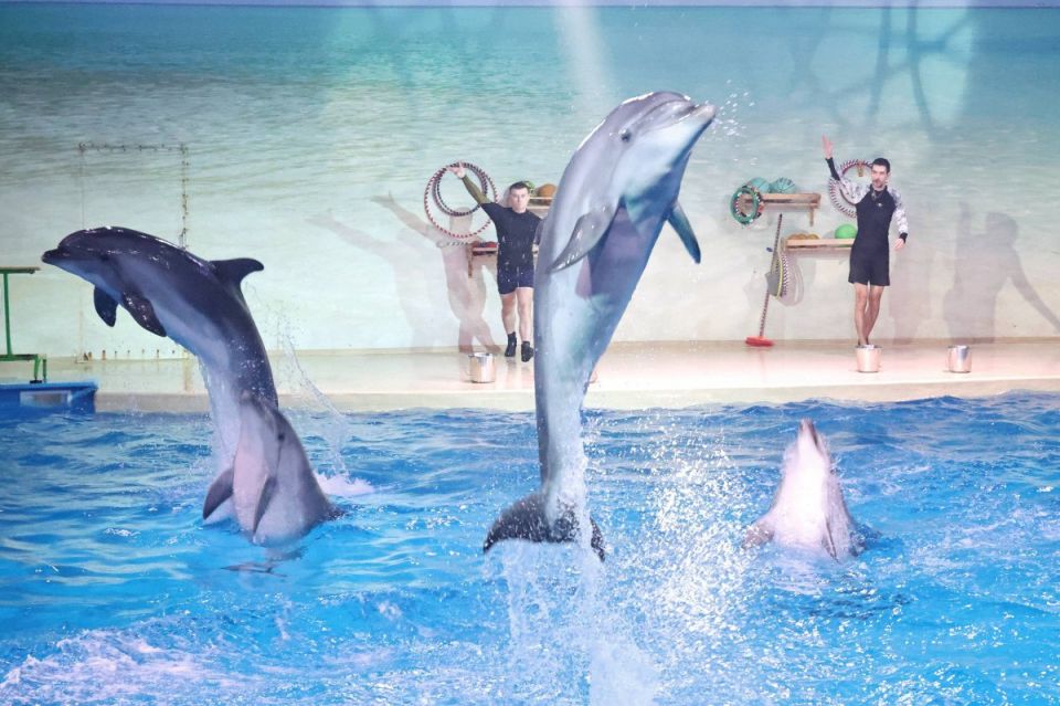 ������� ����� �������� ���������� ������� �������� �� ����������