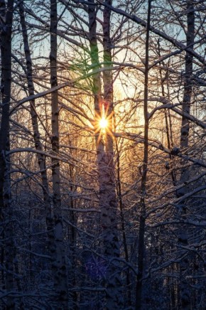 Прекрасное утро в Борском районе