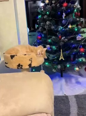 ������ ����������: �������� ��� ���� ����