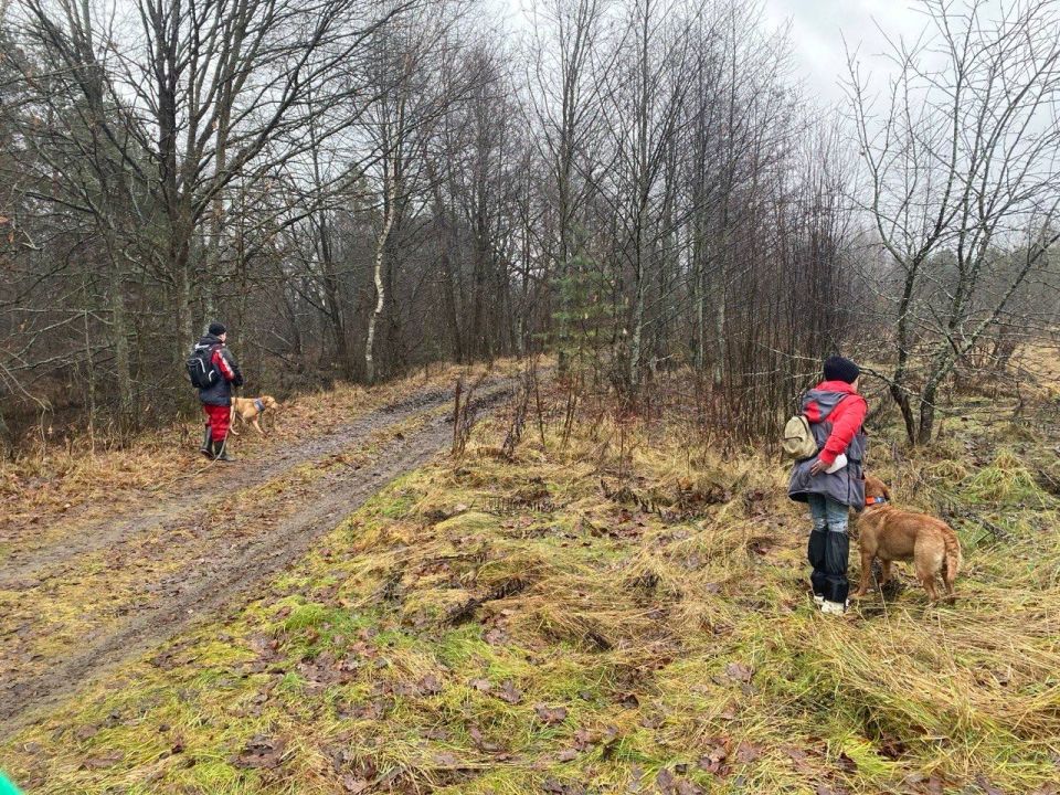 � ������������� ������� � 2025 ���� ������� 1804 ��������