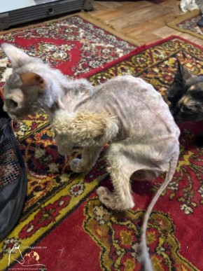 ��� �������-������� ������� ������ �������, �� ������������� ��������� ������ ��