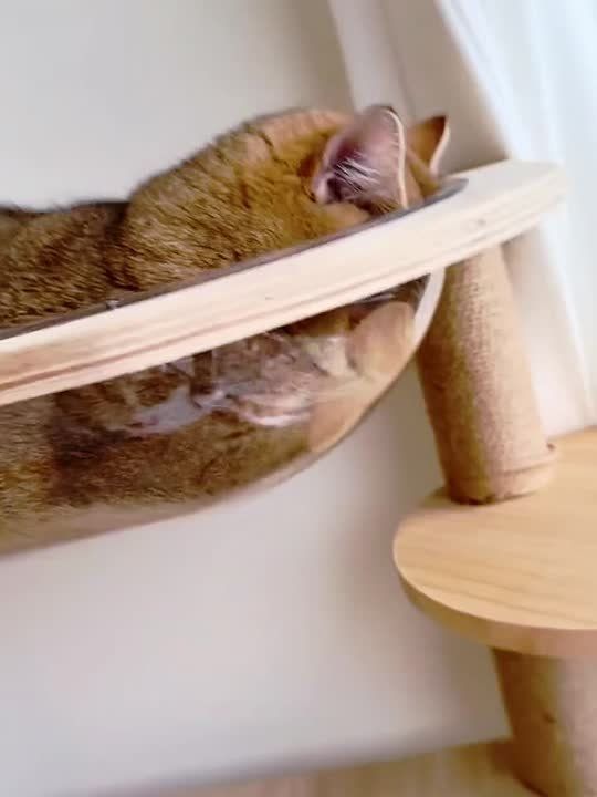 ���� ���������, � �� ���� ������, ���� ��������