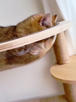 ���� ���������, � �� ���� ������, ���� ��������