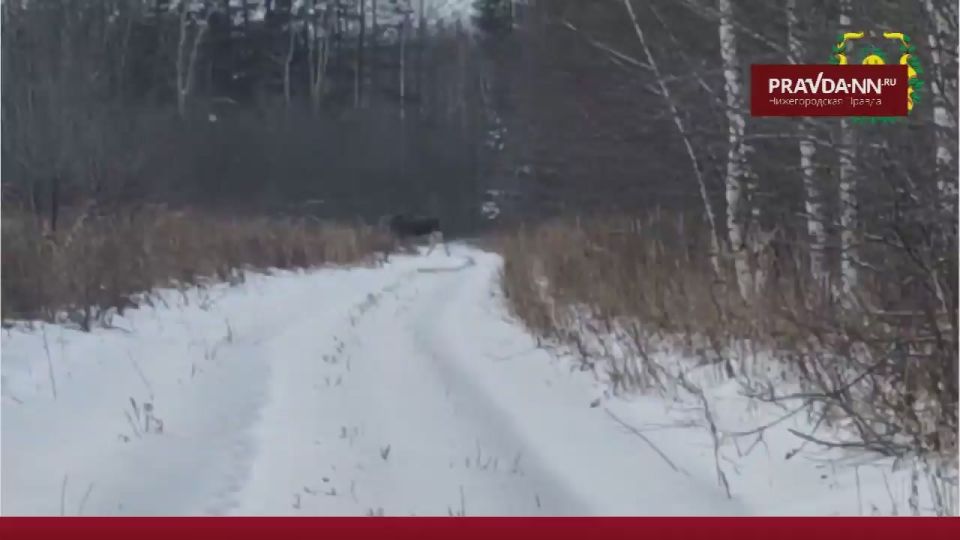 ����������� �������� � �������� ����