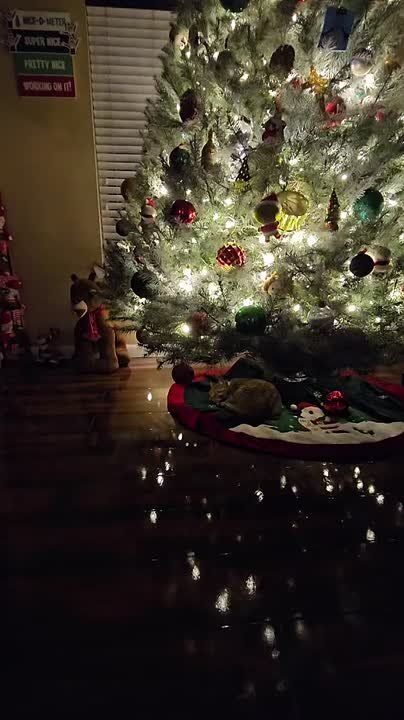 �������� ������� ��� �������� ����� ���������, ��� ������ � �� ��� �� ���� �� ������