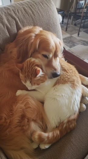 �������� � ���������� ������� � ���, ��� �������� ������������