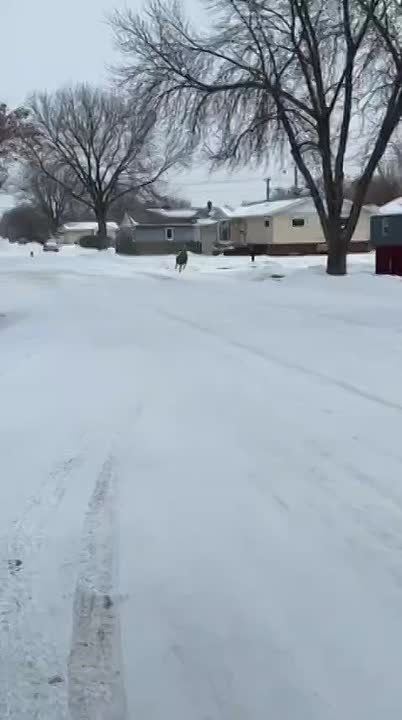 � ����-�� ���� ���������� �����