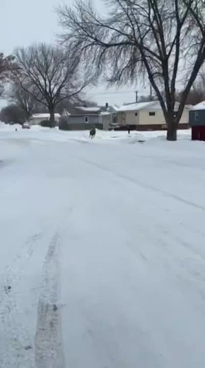 � ����-�� ���� ���������� �����