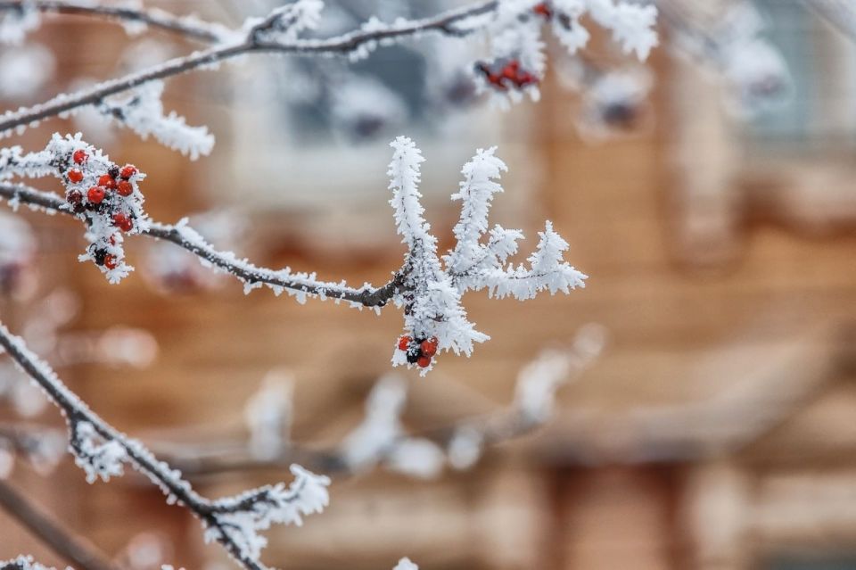 ������ � ��������� ����� ���� ������������ �������