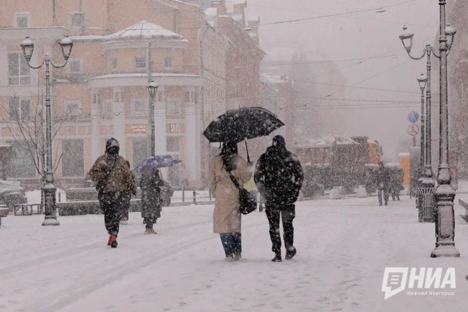 ���������� ������ "�������" ���� �� ������������� �������