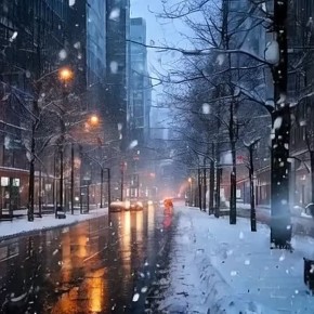 ������ ����, �����������!. ������� � ������ ����������� �������: �����