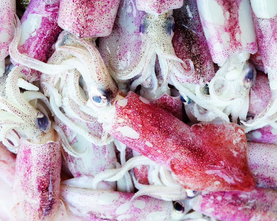 ��������: ������� ���������� � ������������ ������ � �������