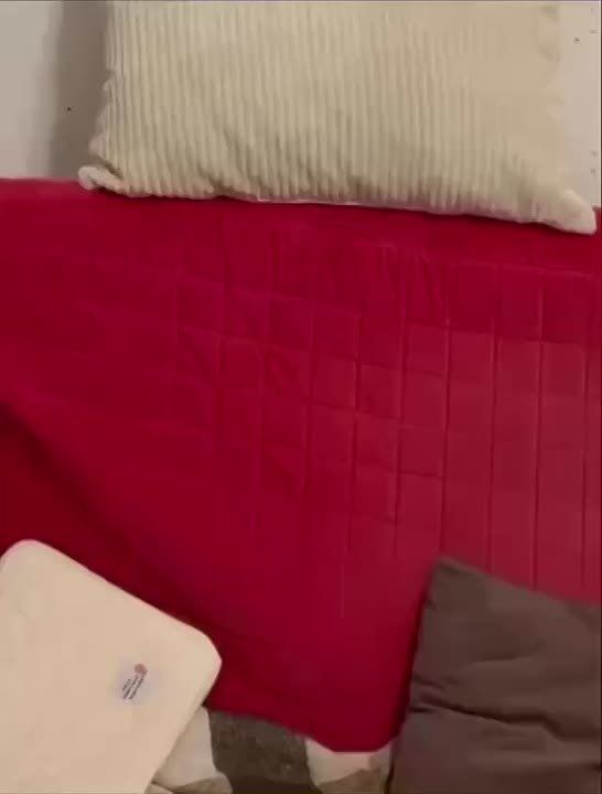 ��� ��� ���� ������ �������� ����������� �� ��������� ������������