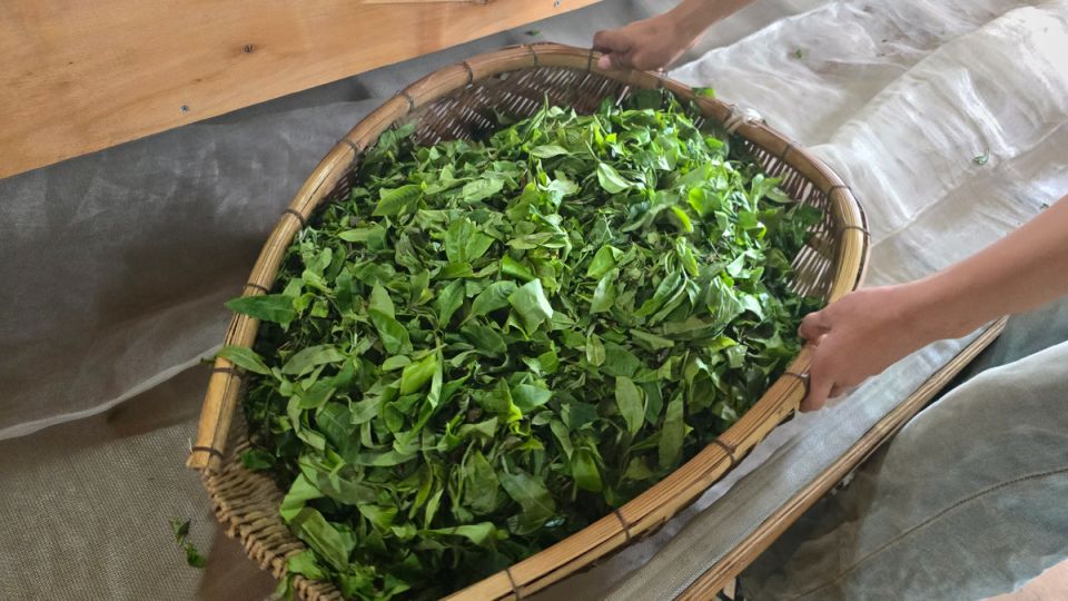 ��� ������ ��� ��������� ��� ���������� ����