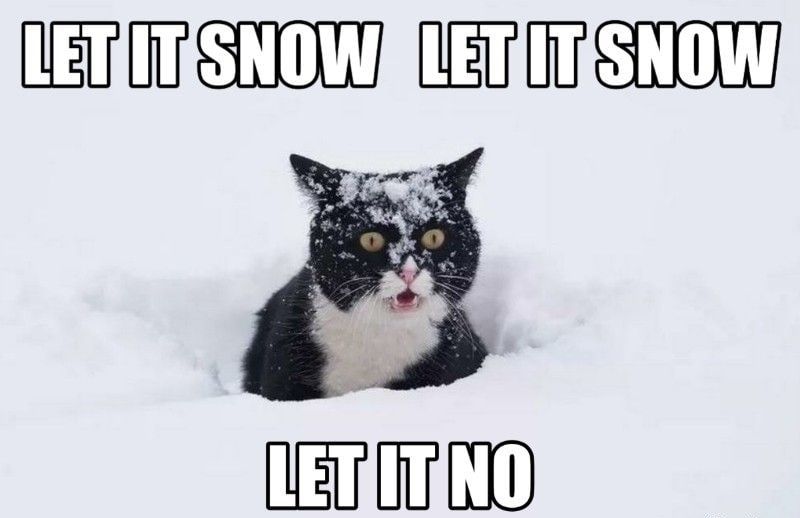 � ������������� ������� ��������� ������� ����, ������� �����, ������ 9-10 ������, �������� �������������