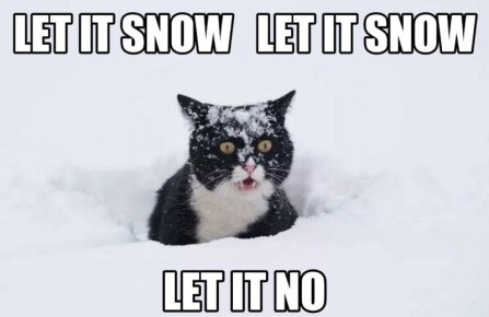 � ������������� ������� ��������� ������� ����, ������� �����, ������ 9-10 ������, �������� �������������