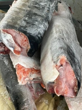 ����� ����� �� ���������: ��������, ���� � ������