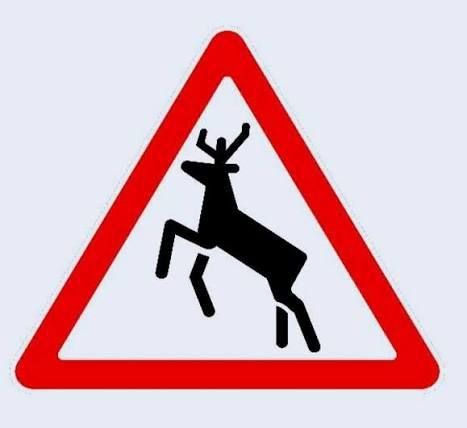 ����� �������� �� ������: ��� ������������� ������������?