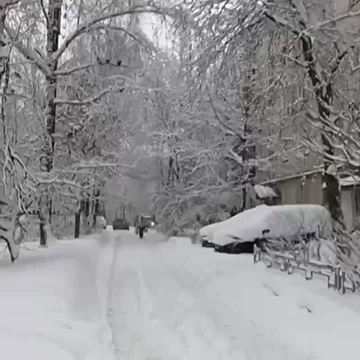 ������ ����, �����������!. ������� � ������ ����������� �������: �����