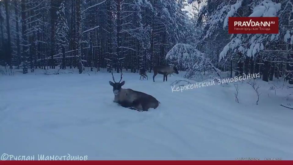 �������� � �����.. � ���������� ����������� ���� ���������: ���� ����������� �������� ��-�� �����, �������� ����� ���������� ��� ��� �������. �������, ����� ������! ������ ����������� ������ � ����� ����� � � MAX