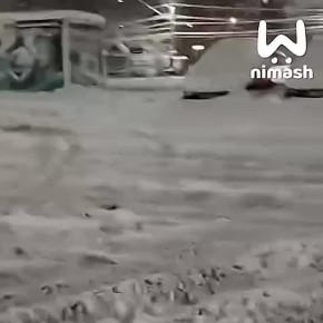 ����������� ������ "�������" ����������� ���������� ��������������