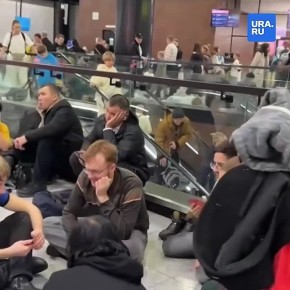 ���������� � ����������� �������� �����������