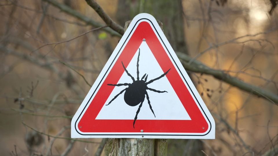 ���������, �����! ��� �������������� ����������� �� ����� ����������