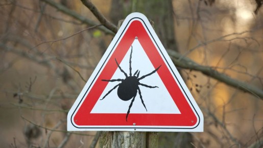 ���������, �����! ��� �������������� ����������� �� ����� ����������