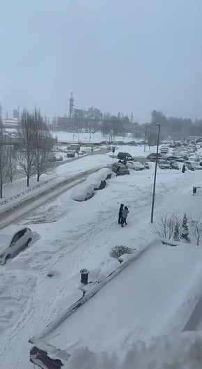 ������� "��� �����". ������ ���� ����� 4 �� ����� ������������ ������ ������: ����������� �������� ���������� �� ���������, � ���� ���������� ��� �������� � ������� � ����