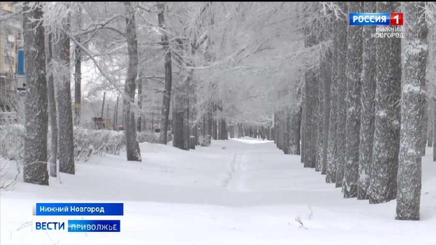 Синоптики выпустили экстренное предупреждение о погоде в Нижегородском регионе