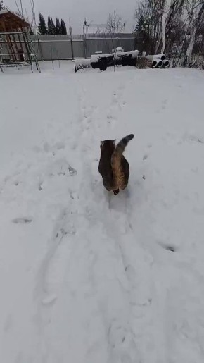 �������� �, ������� �������� ������ �� ����������� ������ ����������