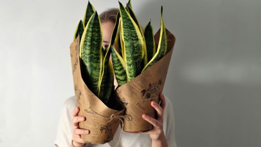 ������ ���� ��������� � ������� ������, ���� �������� � ������ ��� �����������