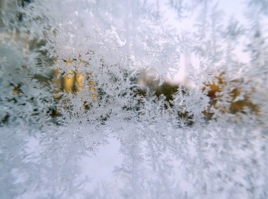 ������ ������ �� 20 �������� ������ � ������������� ������� �� ���� ������