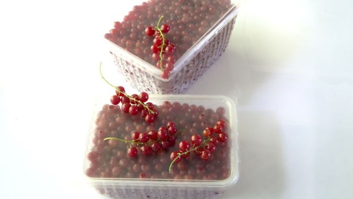 ���-����� ��������, ��� ����������� ���� �� ��������� � ����